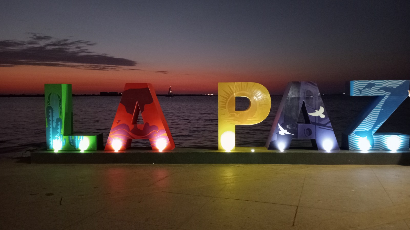 Libre de algas nocivas para la salud:  La Bahía de La Paz