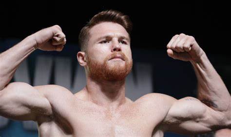 Canelo asegura que podría "noquear" a cualquiera de sus rivales IFOTO: Web