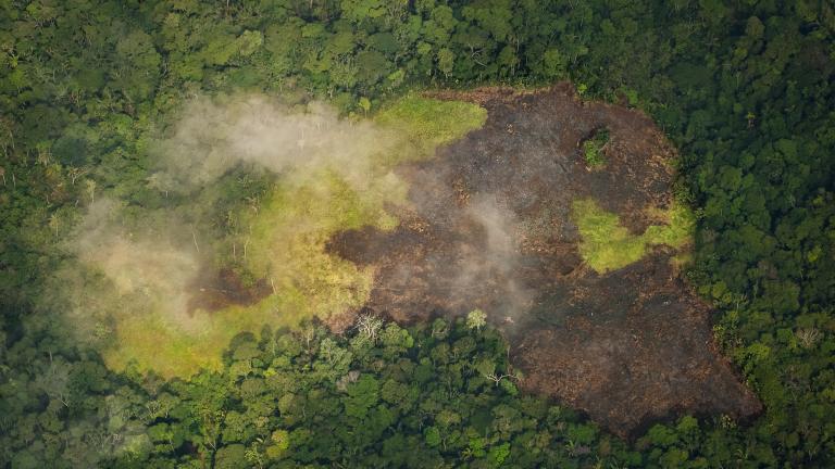 Peligro para los defensores de la naturaleza: Colombia