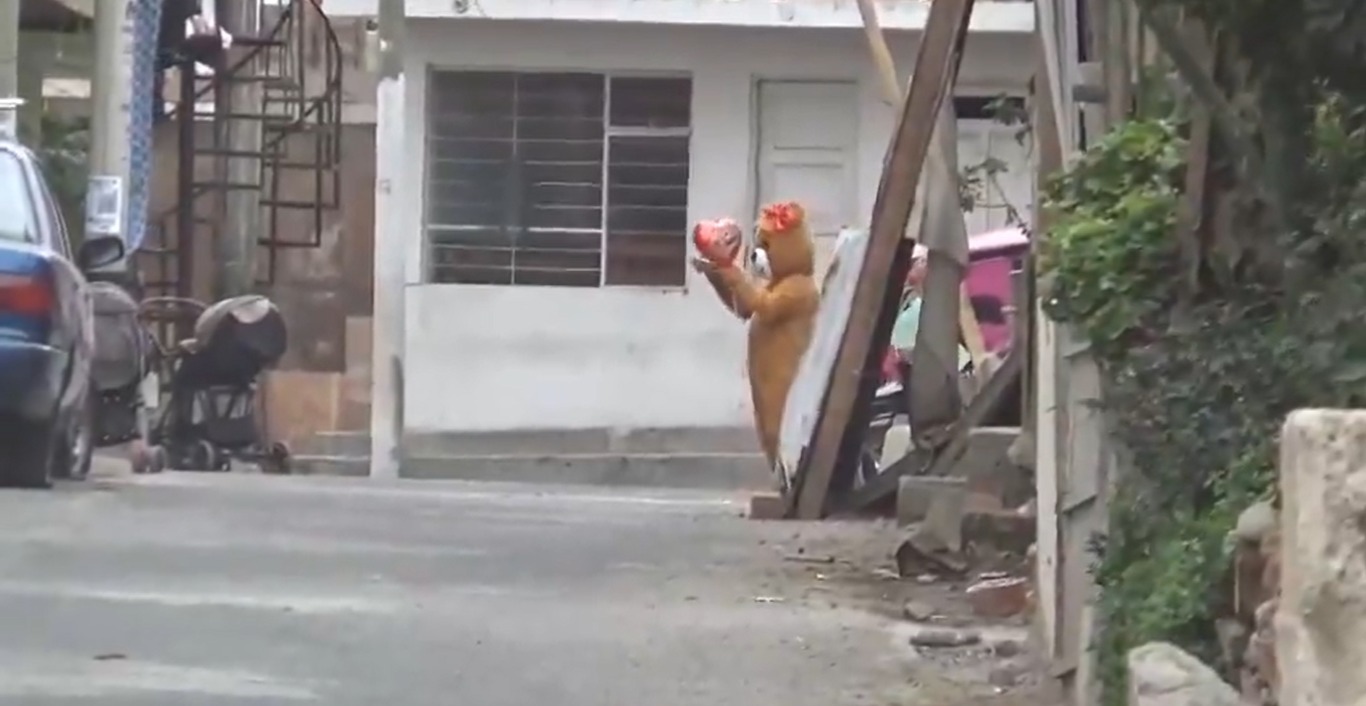 [VIDEOS] Policía se disfraza de oso de peluche y detiene a vendedores de droga