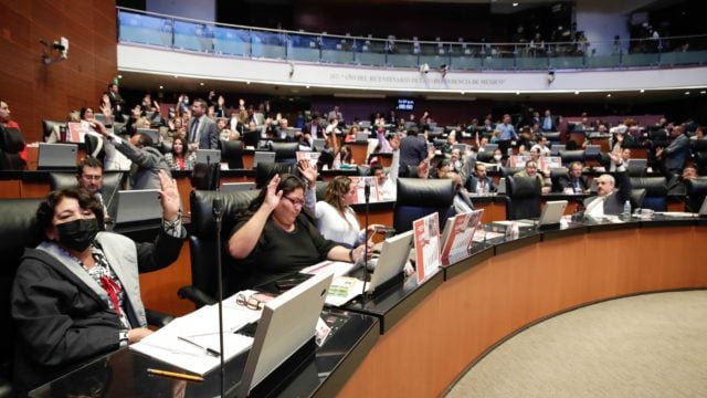 Senado aprueba 12 días de vacaciones para trabajadores