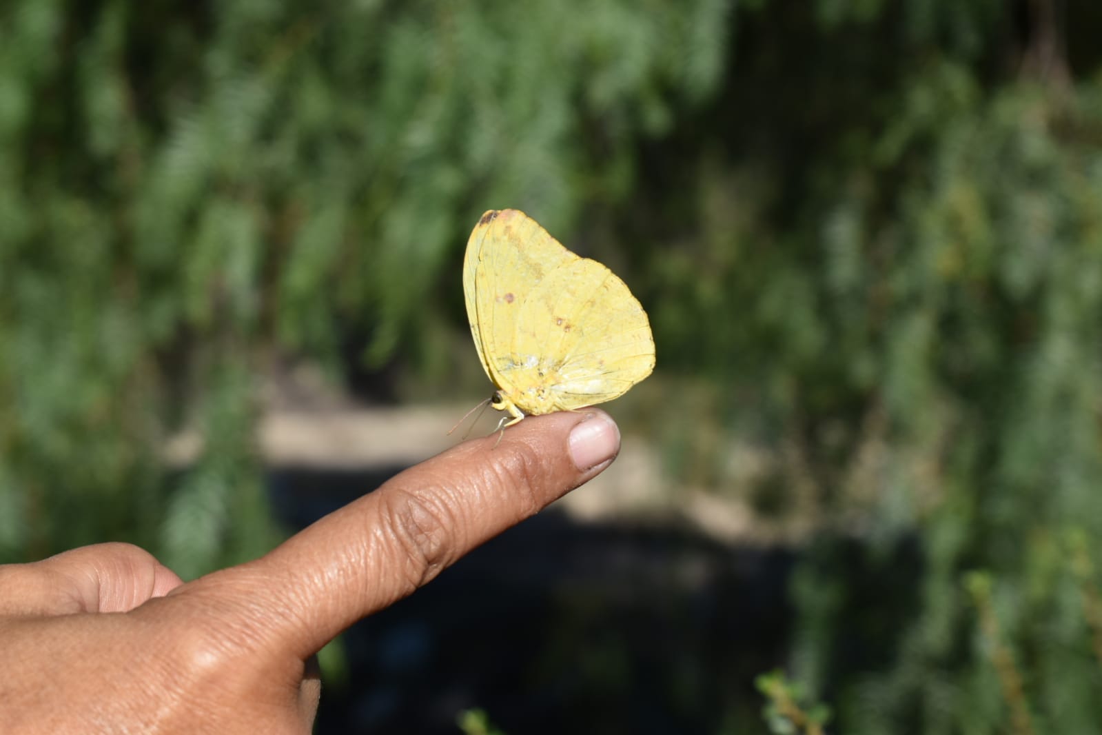 Reapertura de Ecoparque