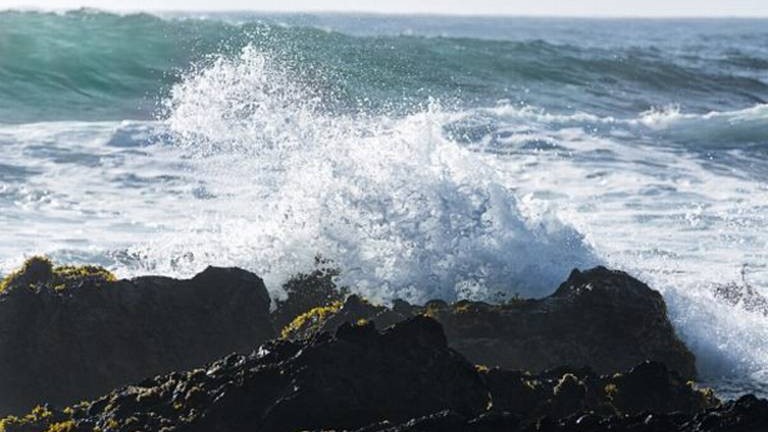 Reportan bandera negra en playas de BCS