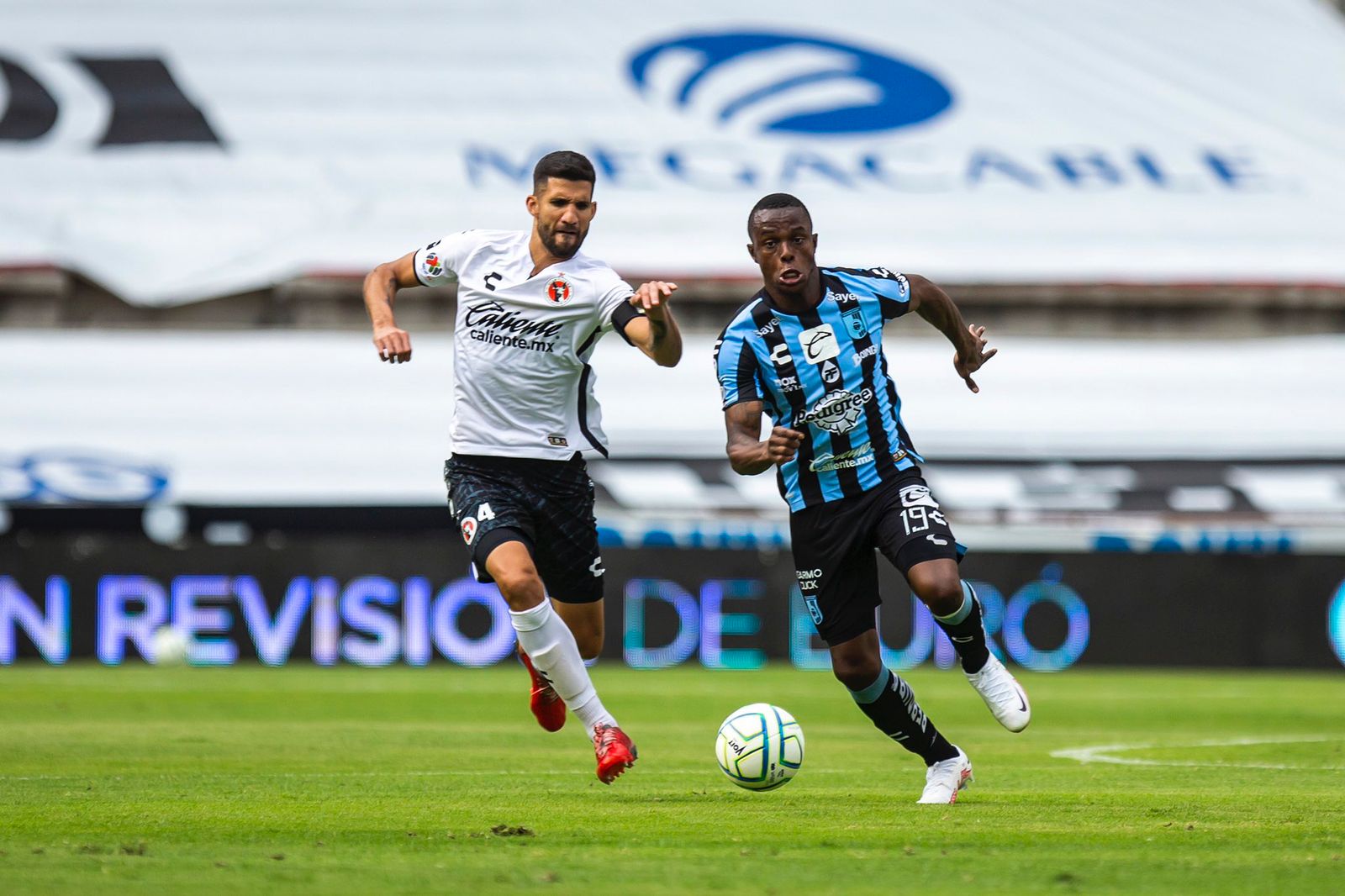 Xolos contra Querétaro I Foto: Cortesía Club Tijuana