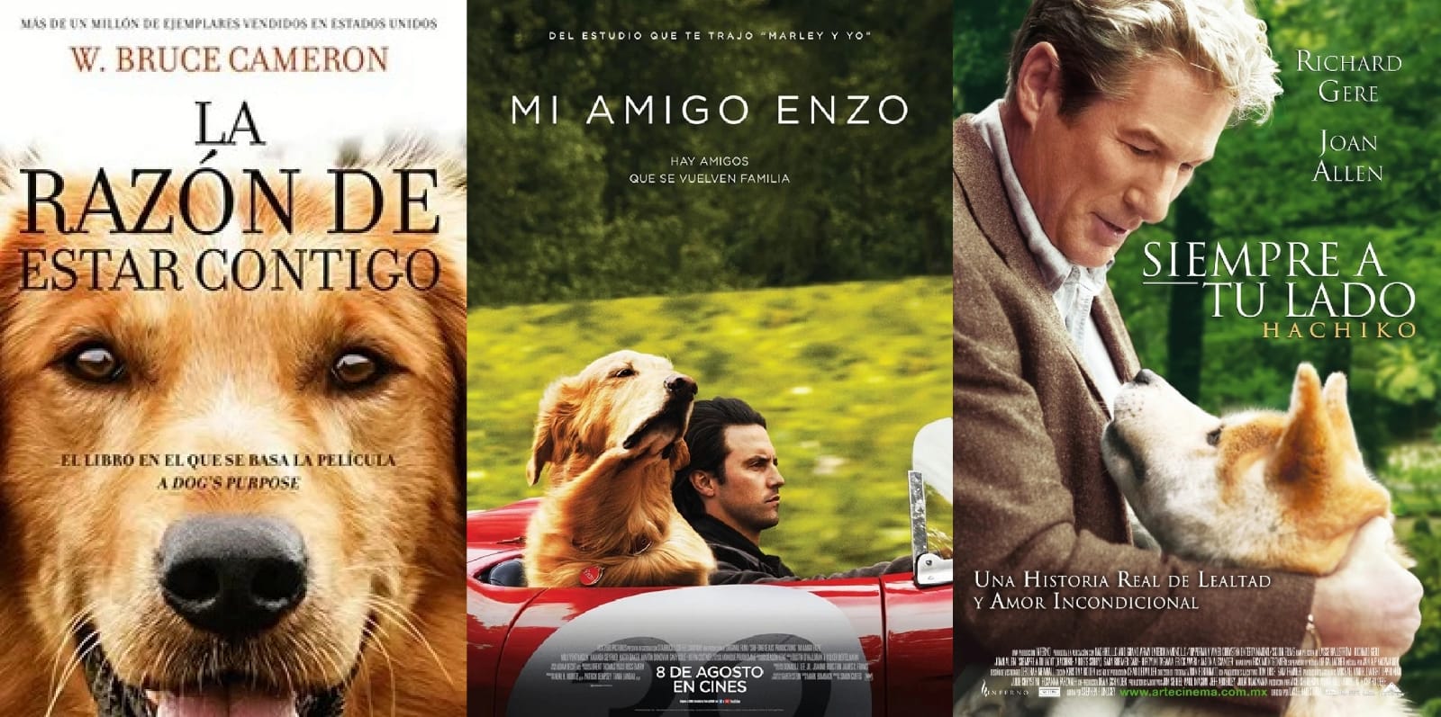 Tres películas conmovedoras de historias de perros que te harán llorar