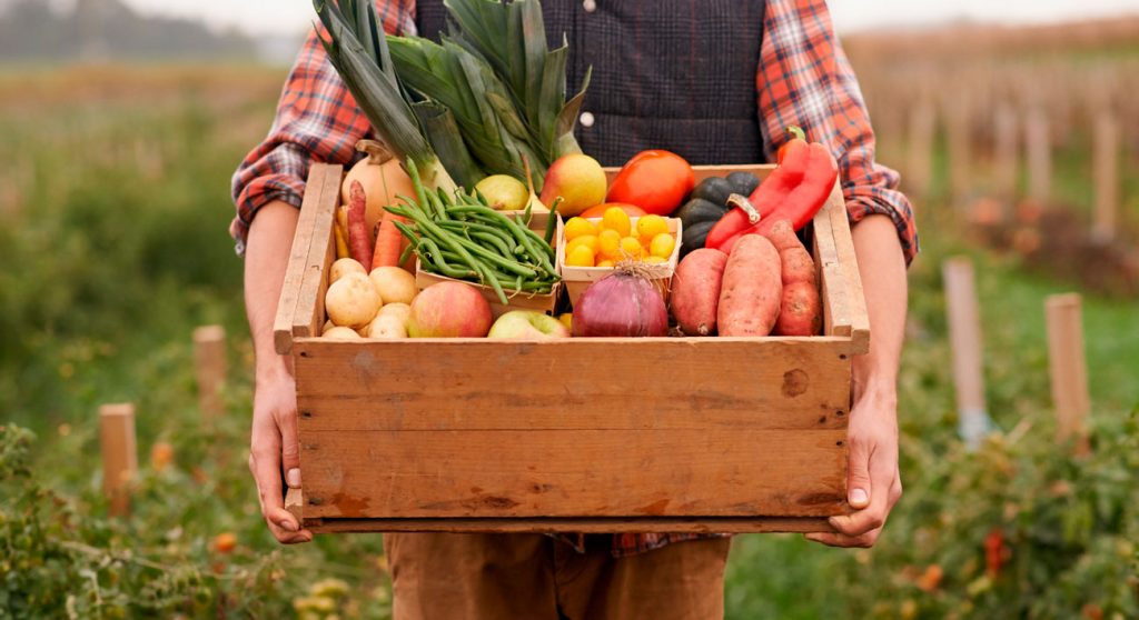 ¿Qué es la gastronomía sostenible?