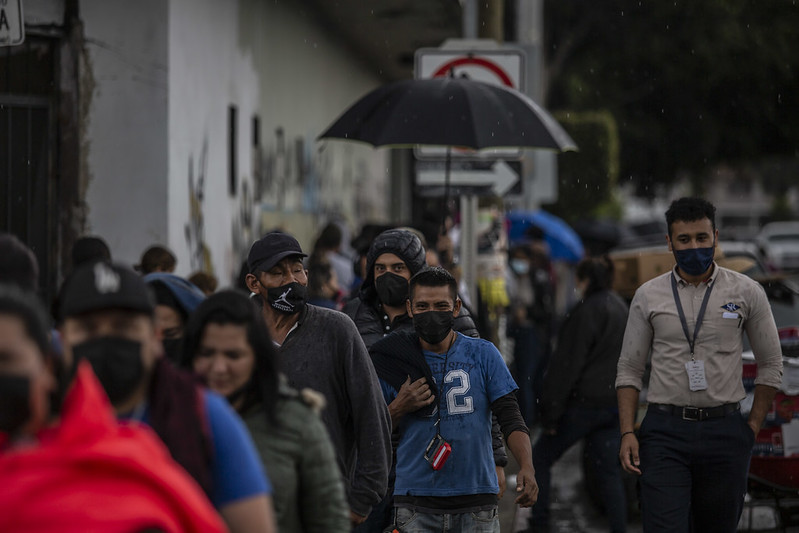 Casos y muertes por Covid