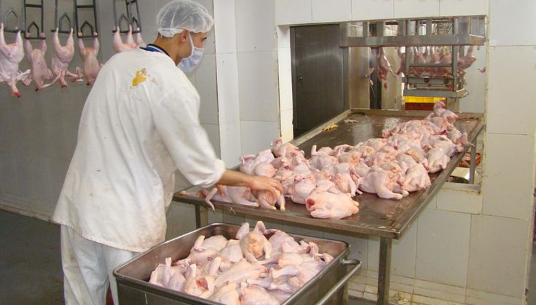 Un kilo de surtida de pollo se compraba el año pasado en alrededor de 70 pesos y 88 pesos el kilo de cerdo, diferencia que se redujo para 2023.