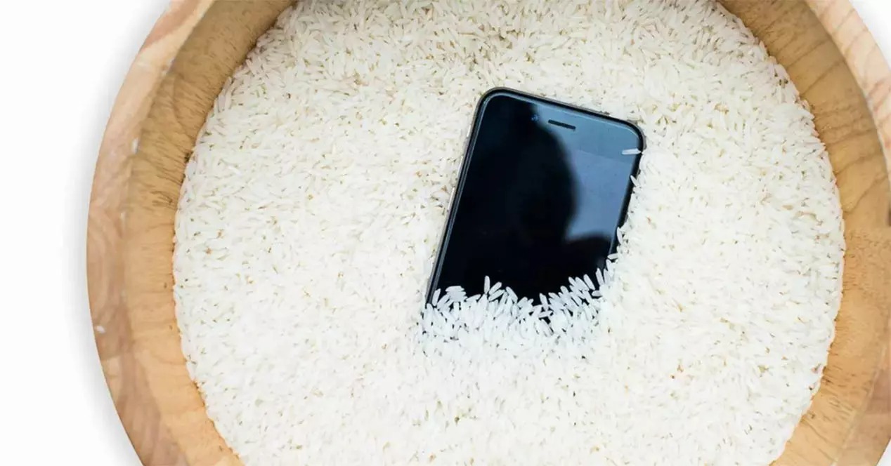 ¿Sirve meter tu celular en arroz cuando se moja?