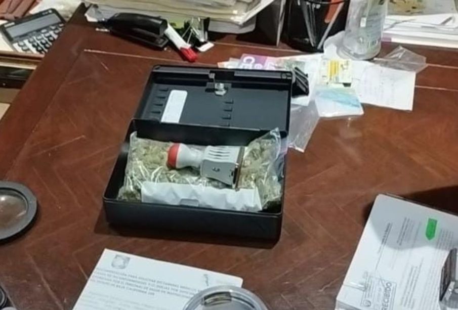 Hallan Marihuana en Oficinas de la CEDH en Baja California Sur