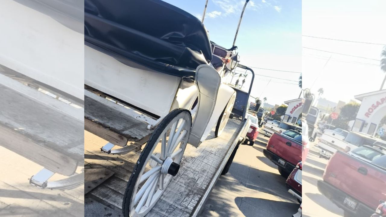 Retiran calandrias en Playas de Rosarito