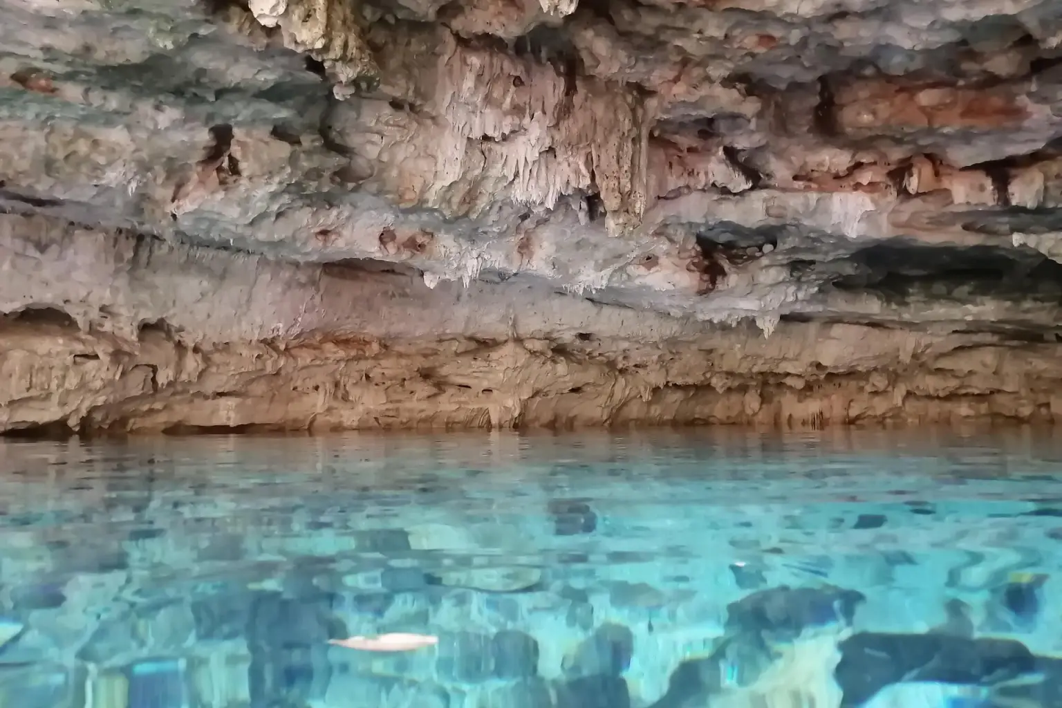 Desaparición de buzo en cenote Dzombakal moviliza a autoridades en Yucatán