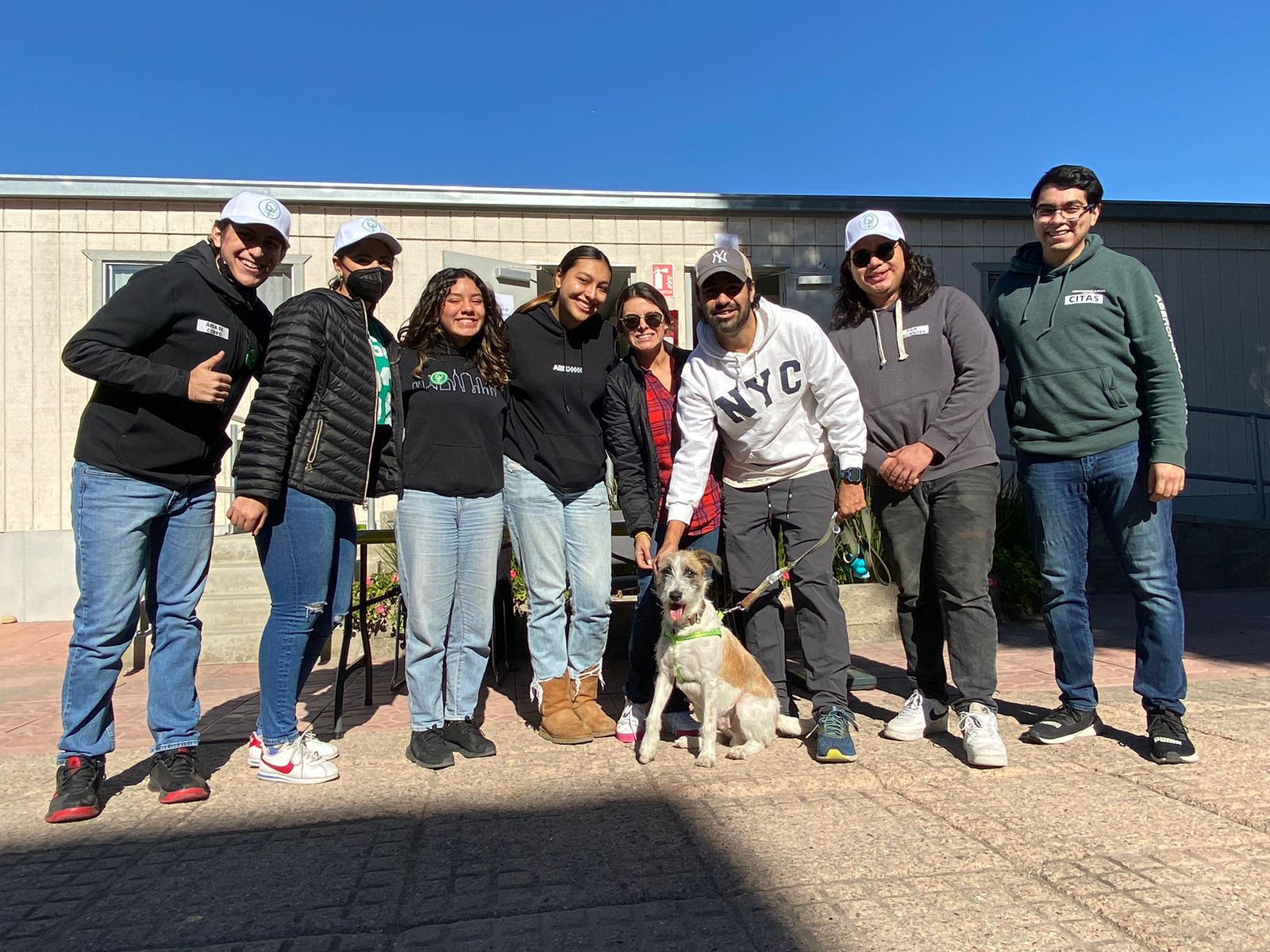 Esterilizaciones a bajo costo en Cetys Universidad Tijuana