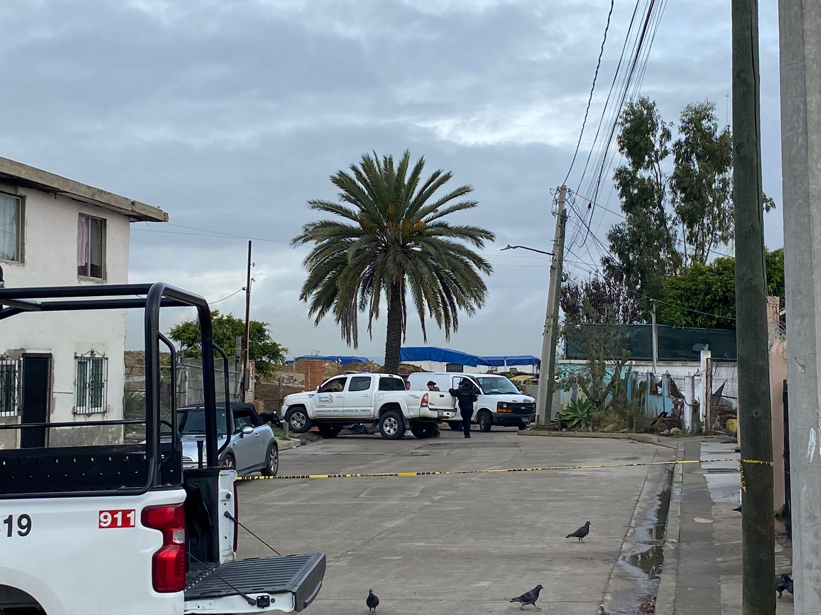 Encuentran dos cuerpos en del. San Antonio de los Buenos