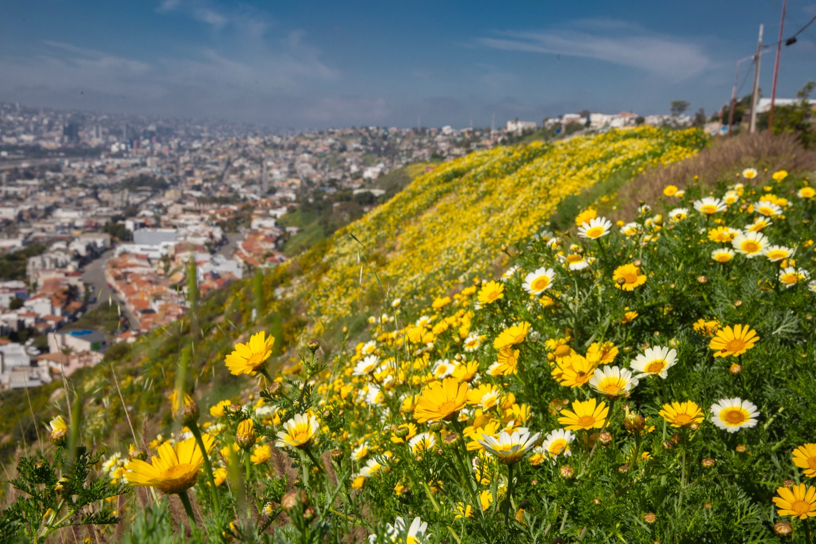 Adiós al invierno; llega la primavera