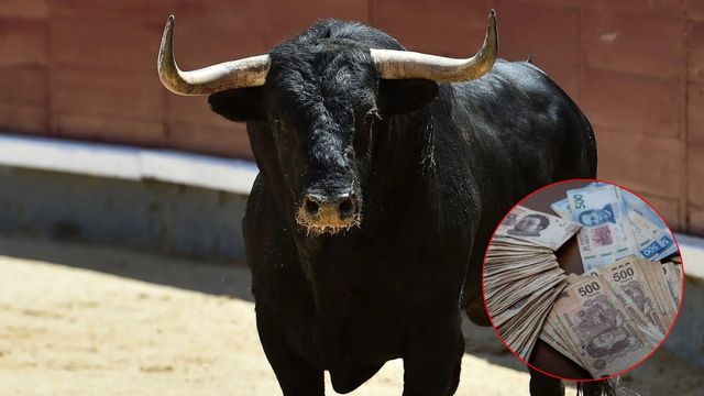 Denuncia empresario que pagó 200 mil pesos por un permiso taurino presuntamente falso