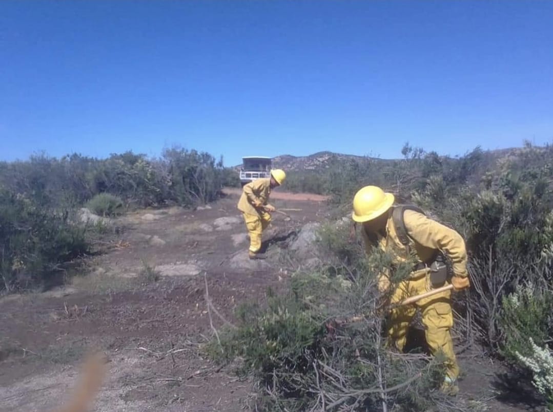 Incendio forestal en Tecate #VIDEO