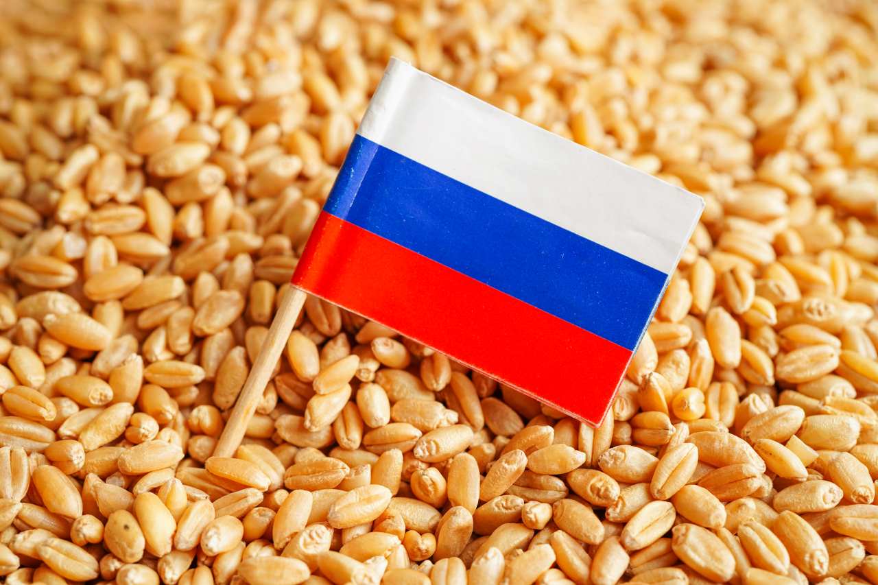 Impacto de la suspensión rusa en la exportación de granos