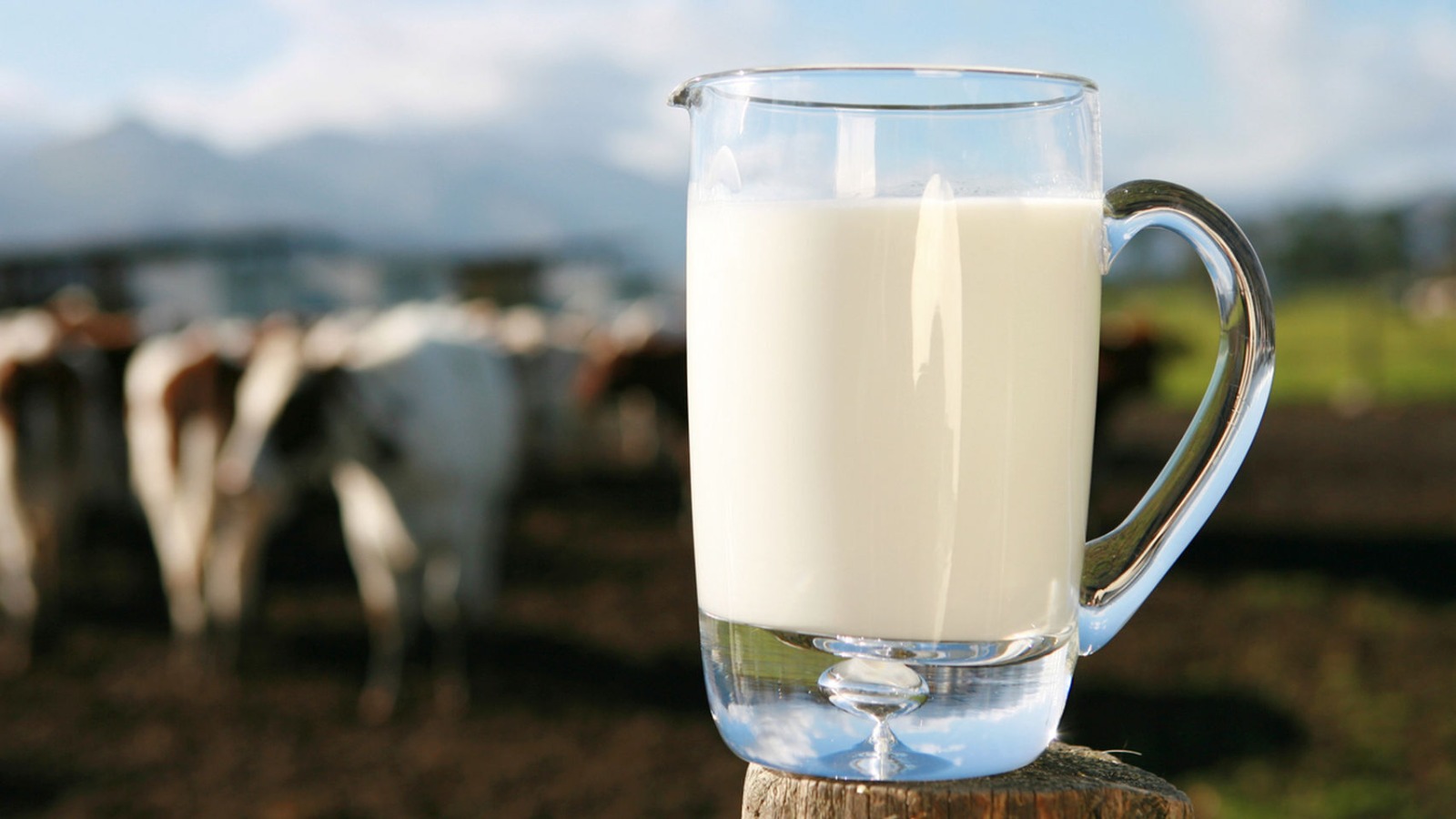 Se unen empresas lácteas para reducir la emisión de metano