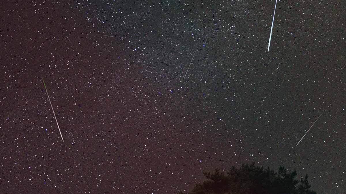 LLUVIA DE ESTRELLAS  IFOTO: Prokhor minin en unsplash