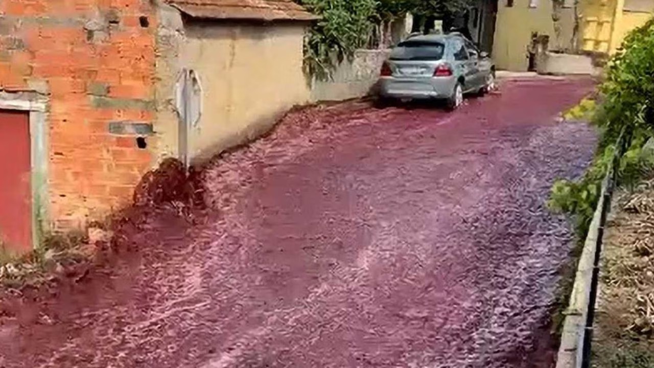 Sorprende río de vino a las calles portuguesas