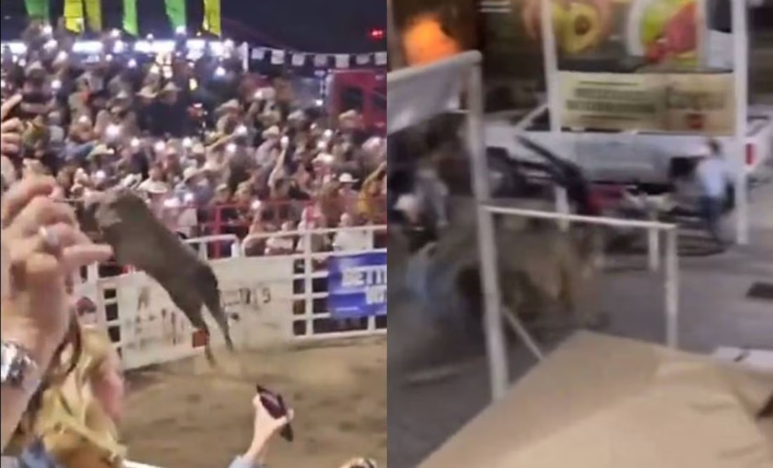 [VIDEO] Pánico en rodeo de Oregón: Toro salta valla y deja cinco heridos