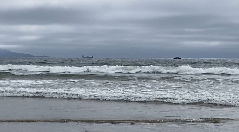 Buscan a pescador desaparecido en Bahía Todos Santos