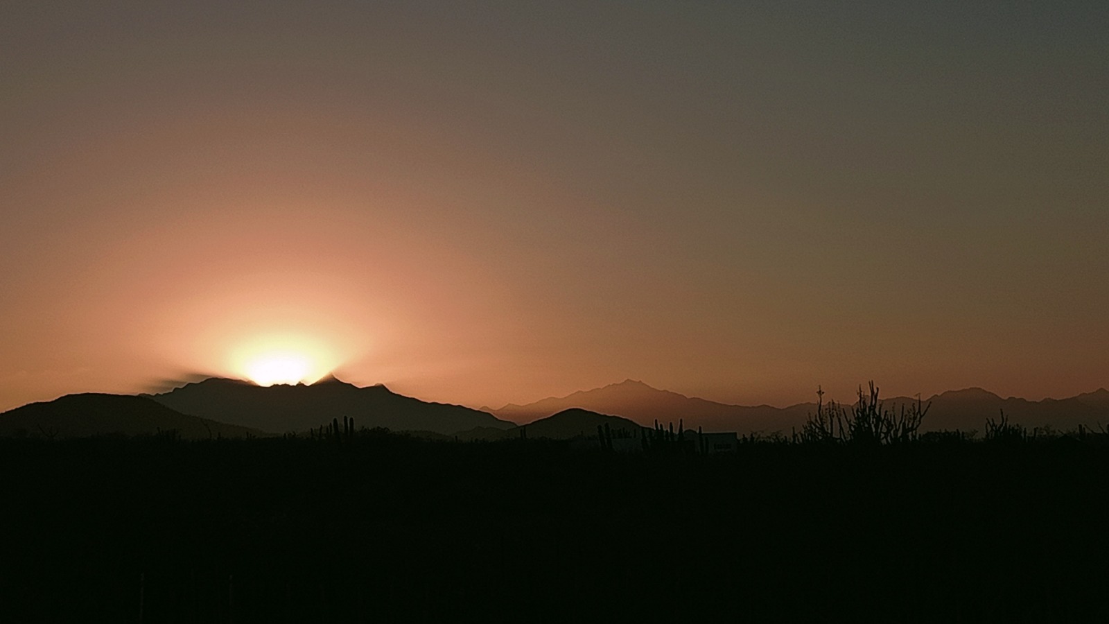 Comienza julio con altas temperaturas: BCS