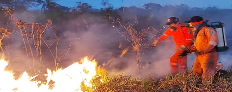 Más de 900 hectáreas en Yucatán han sido consumidas por el fuego