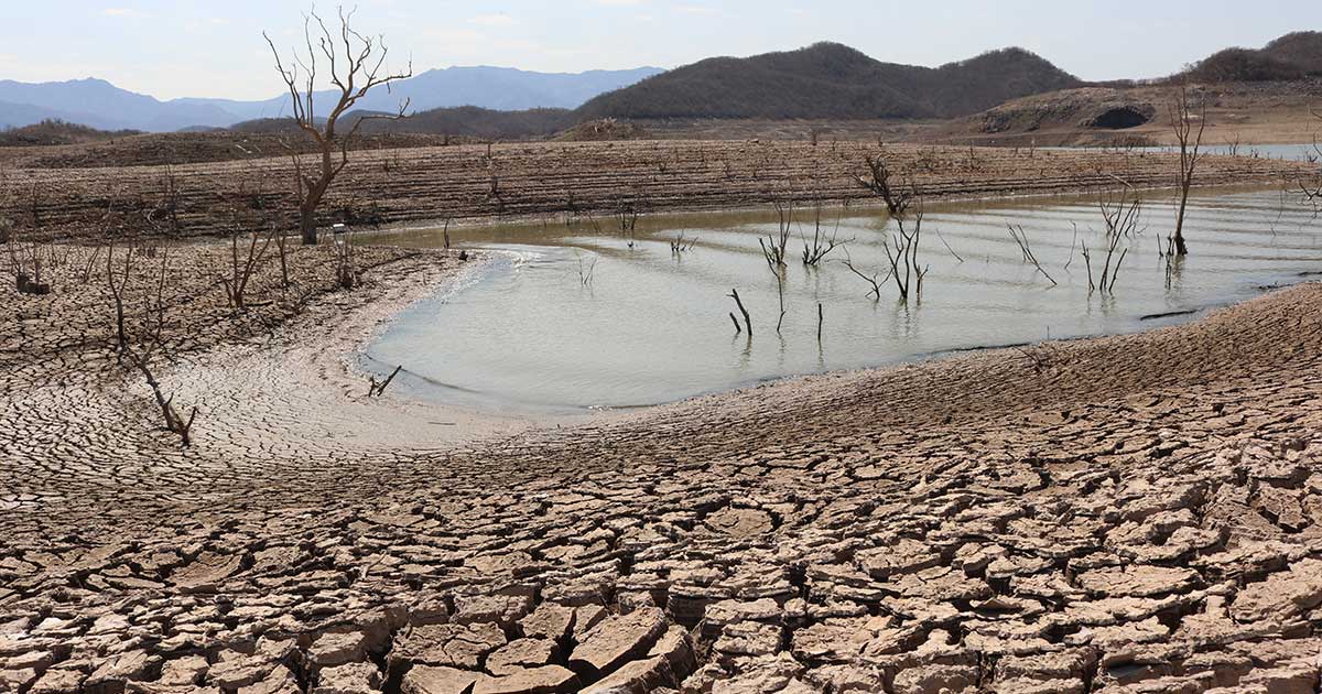 Sequía extrema en Sinaloa