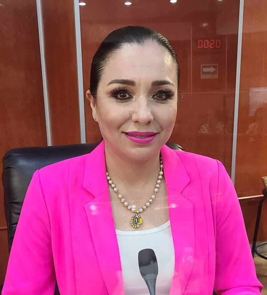 Diputada Amintha Briceño