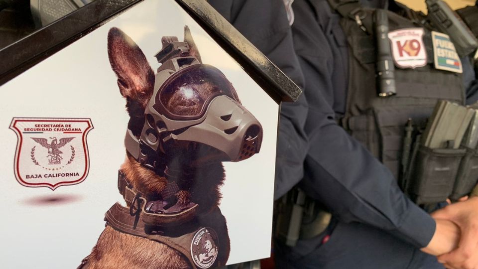 Rinden homenaje a Beto; Agente K-9 de la Fuerza Estatal. I FOTO: WEB