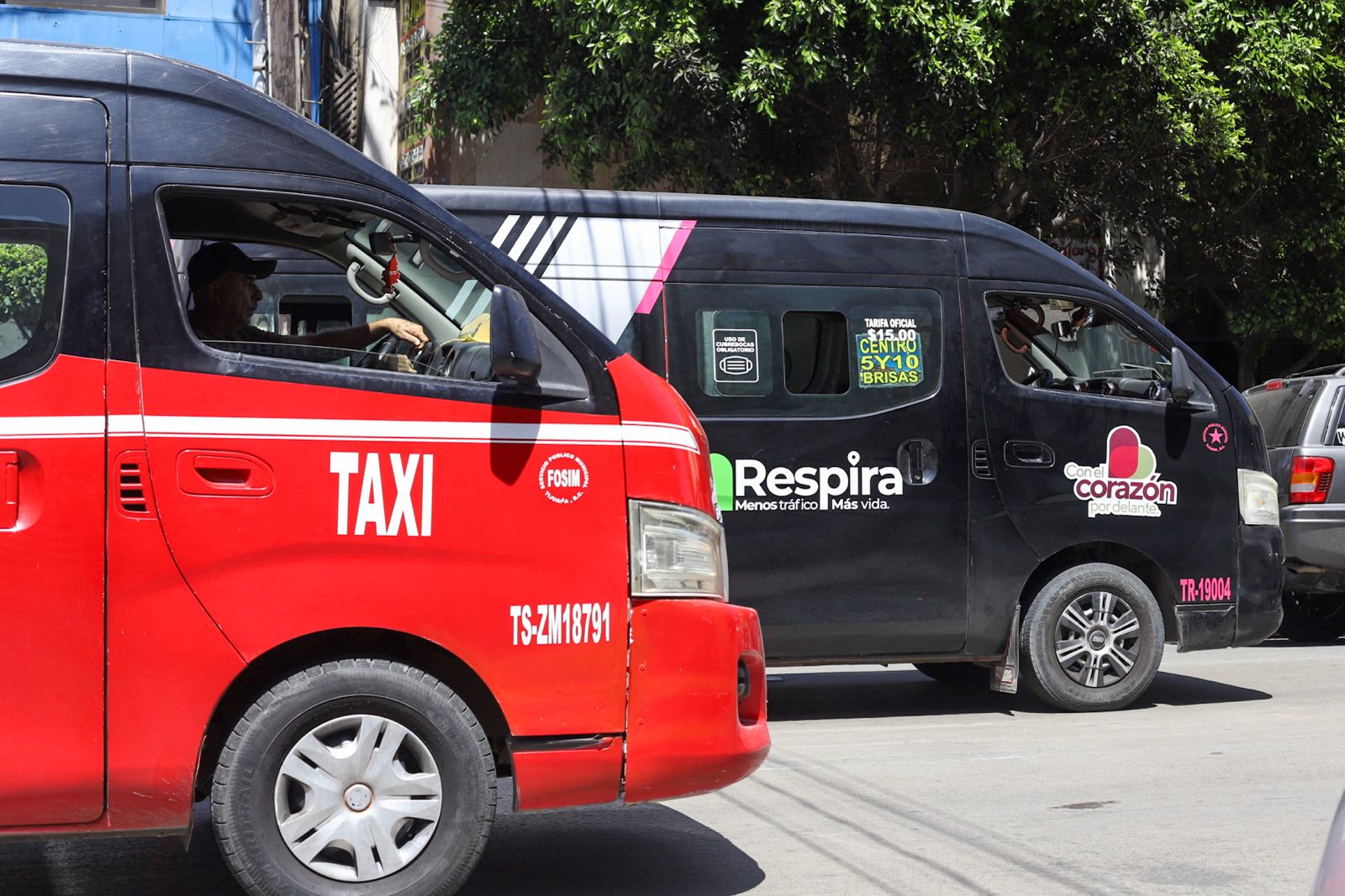 se permiten perros en los taxis negros