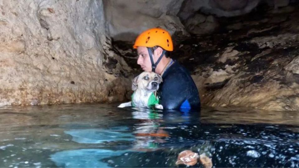 Rescatan a una ”perrita” atrapada en una cueva