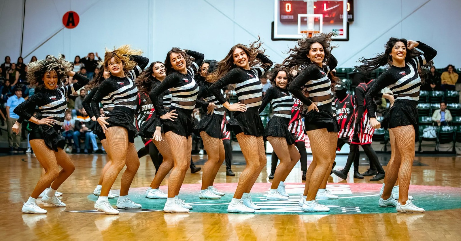 Tijuana Zonkeys buscará nuevos talentos para sus equipos de animación