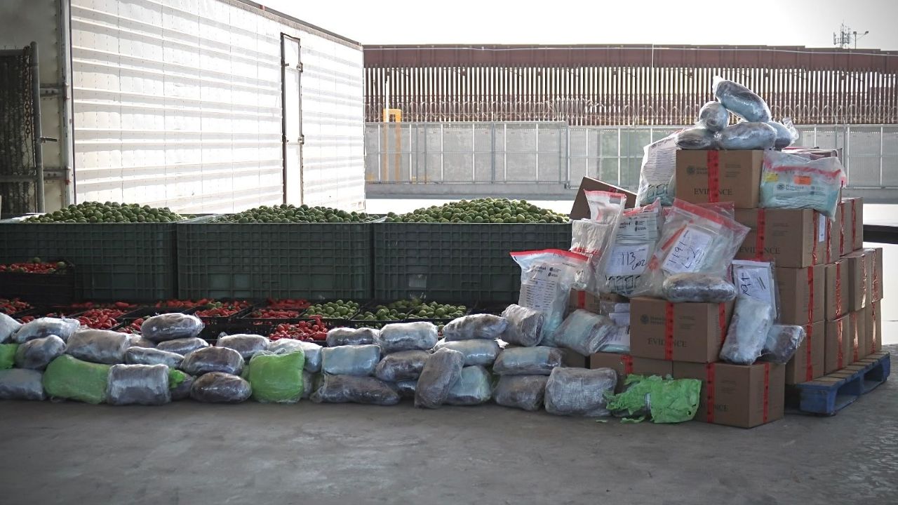 Foto: Border Zoom/Baja News