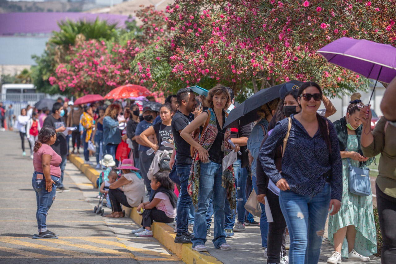 Fotografía: Omar Martínez