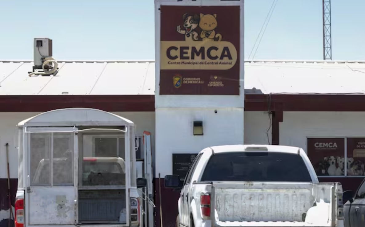 Revisan centros de control animal en Baja California