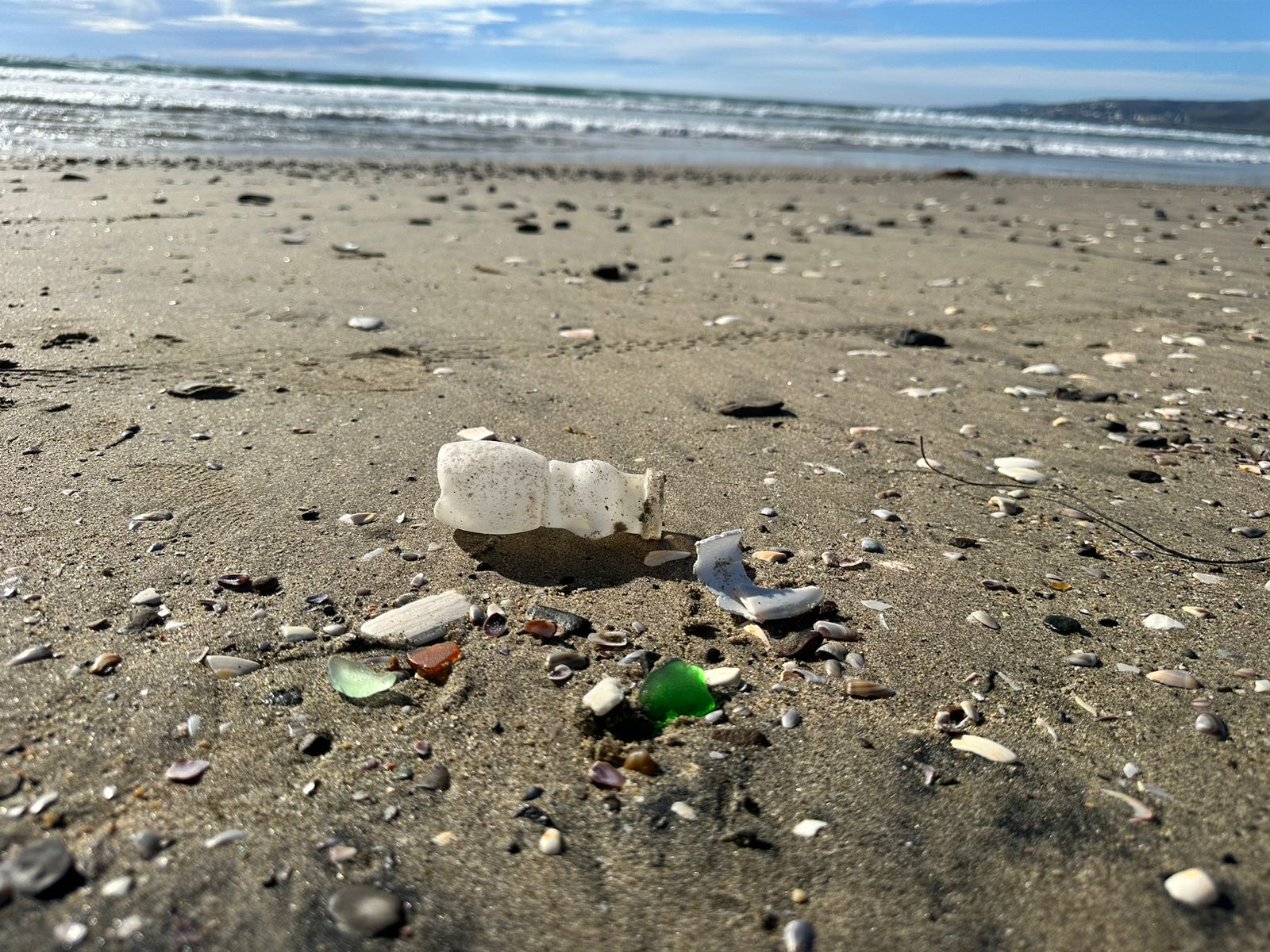 Preocupa alta contaminación en playas de Baja California