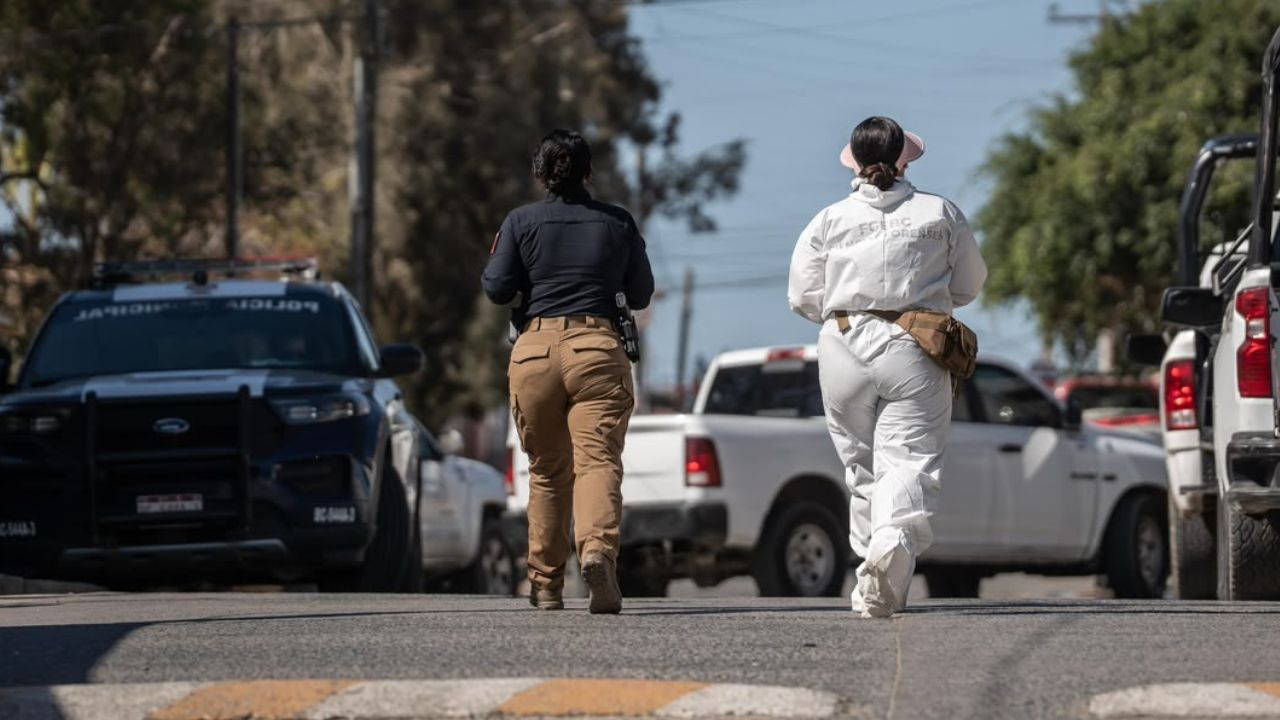 Foto: Border Zoom/Baja News