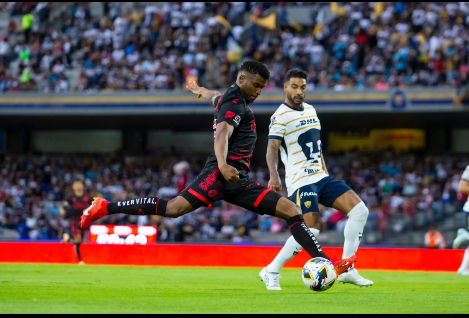 Xolos liga derrotas en el Apertura 2024, tras caer ante Pumas