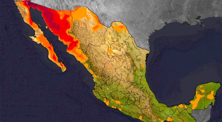 Continuarán las altas temperaturas en BCS