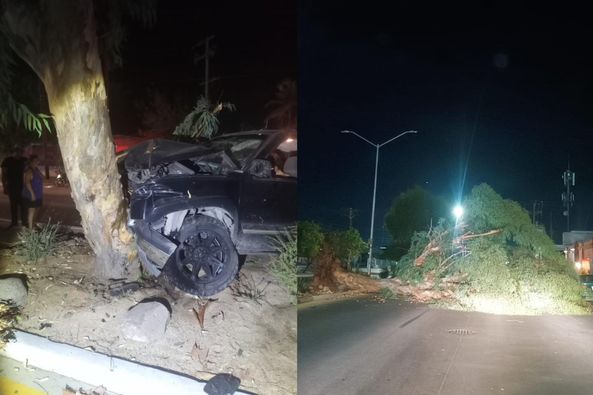 Dos mujeres lesionadas y árbol caído tras colisión vehicular