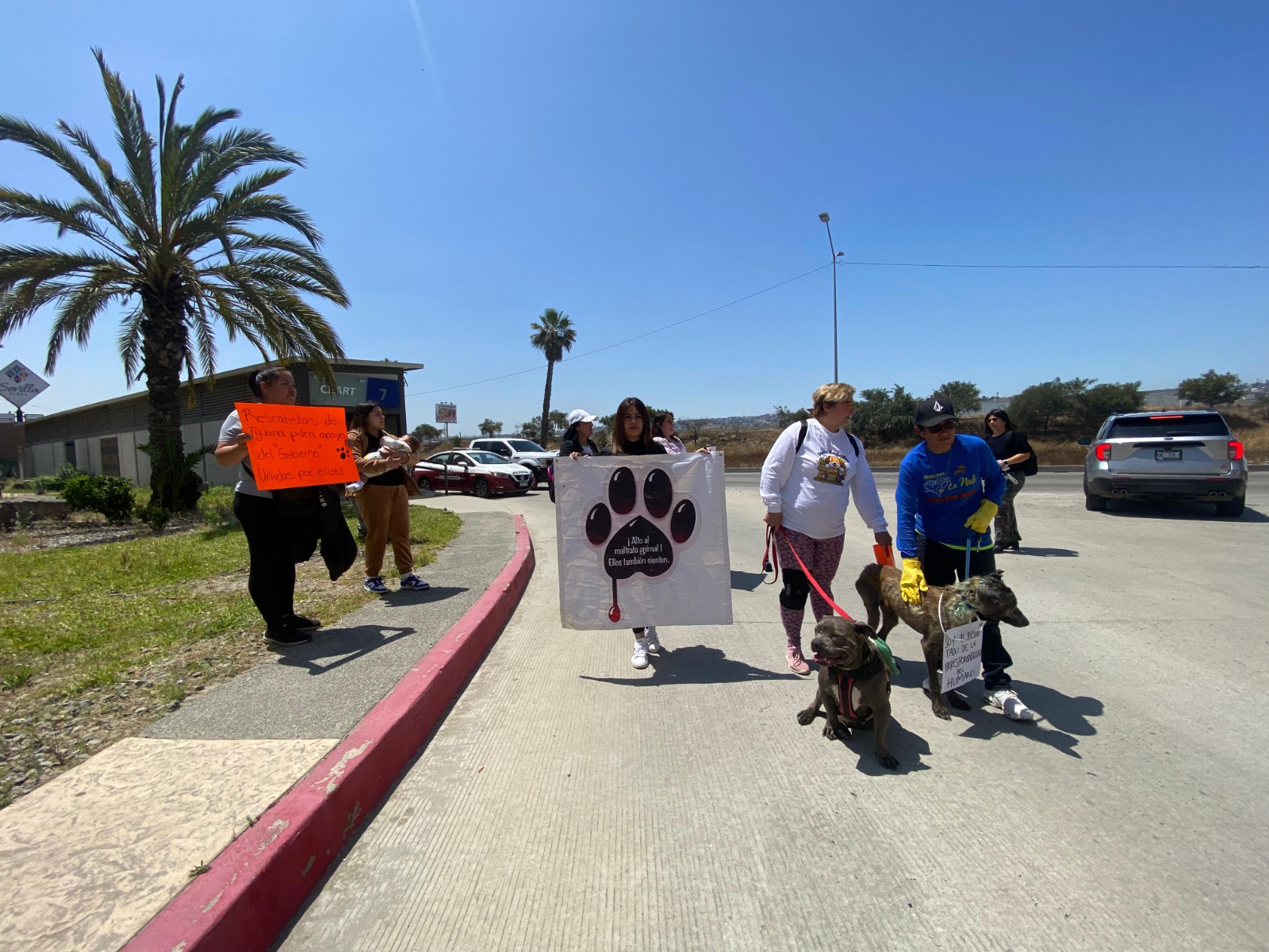 Se manifiestan activistas de animales afuera de la mañanera de Marina del Pilar