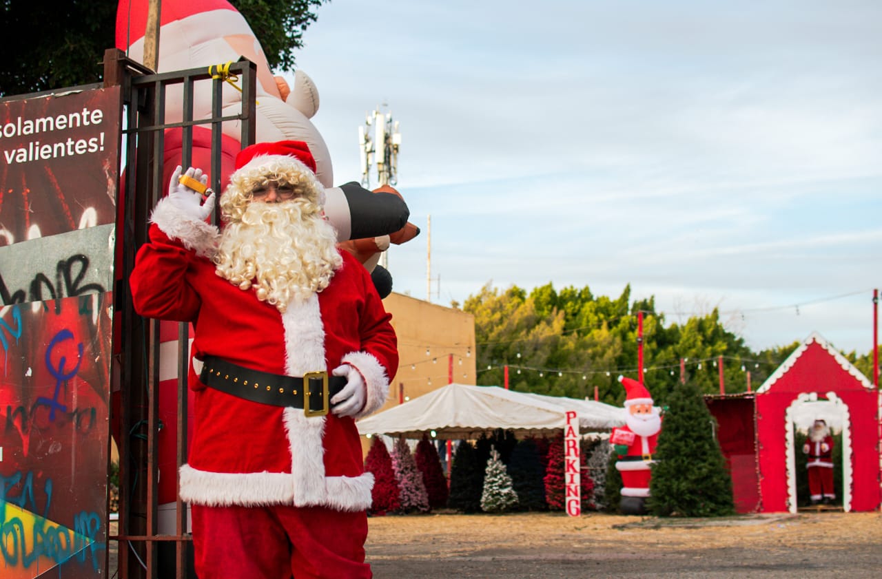 [GALERÍA] Empieza la venta de pinos navideños en la ciudad