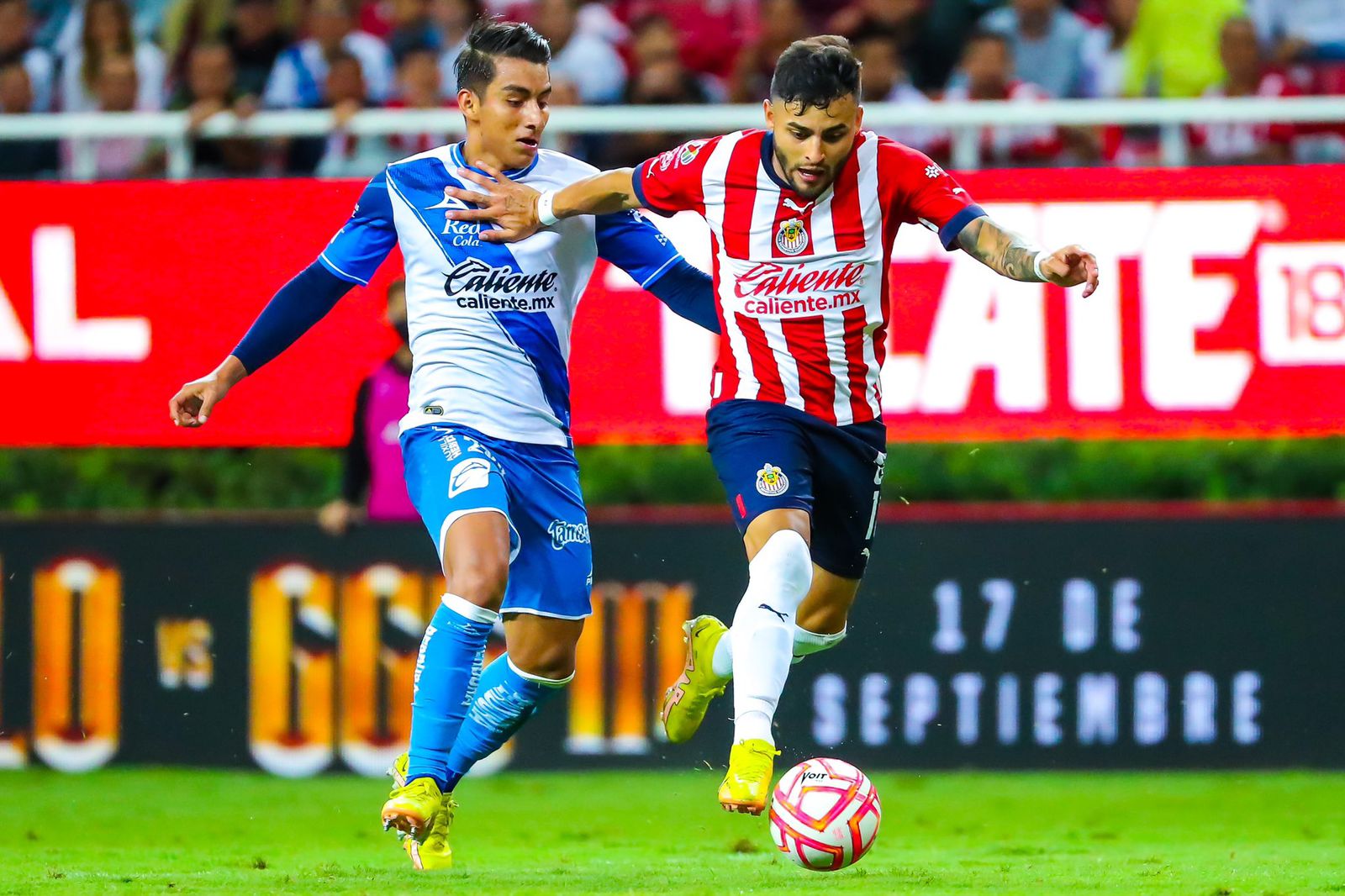 CHIVAS   IFOTO: @chivas (Twitter)