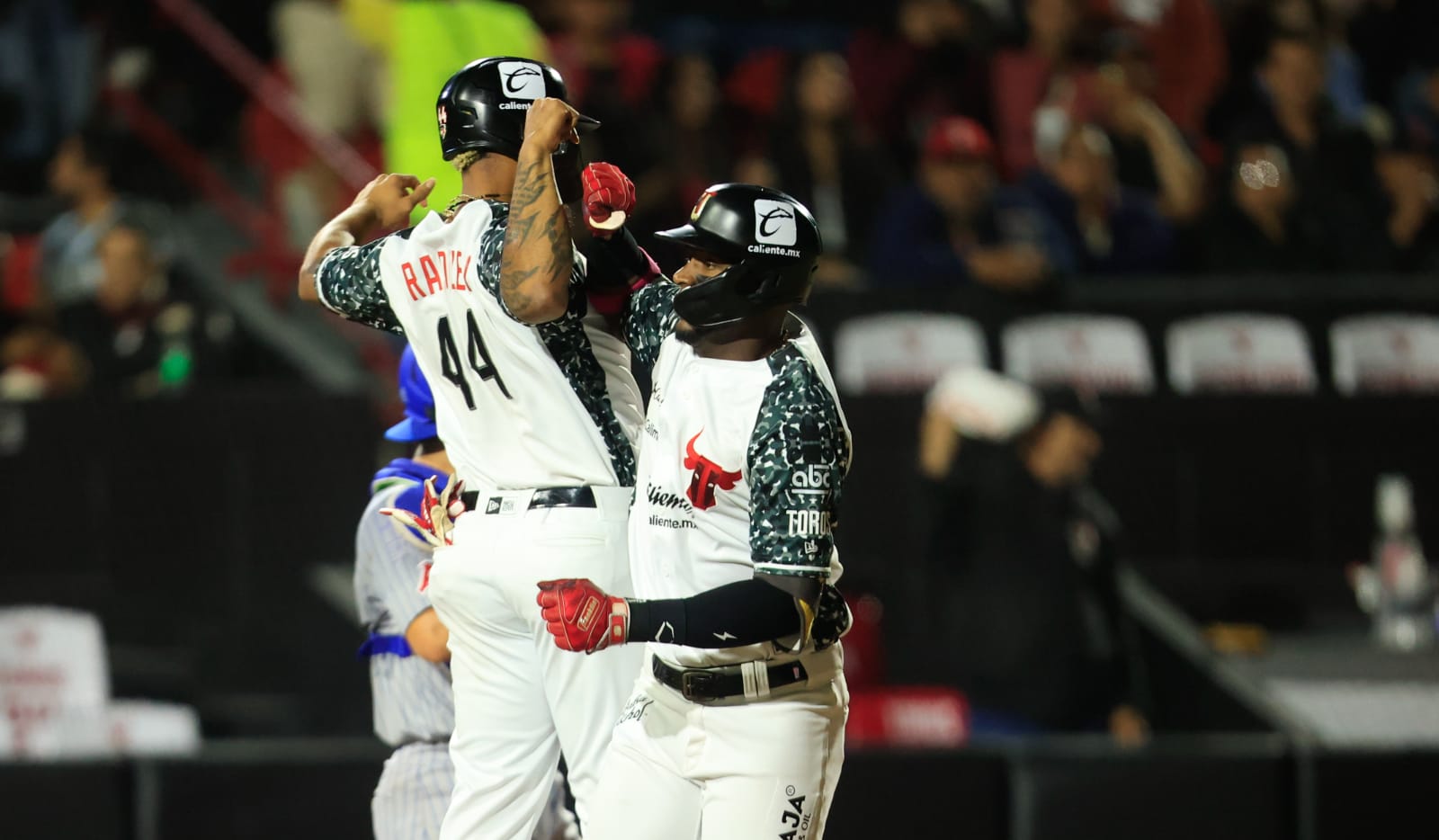 Toros, líder solitario en LMB