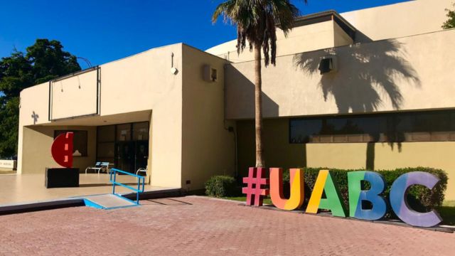 UABC abre proceso para elegir a su rector o rectora para el periodo 2027-2031