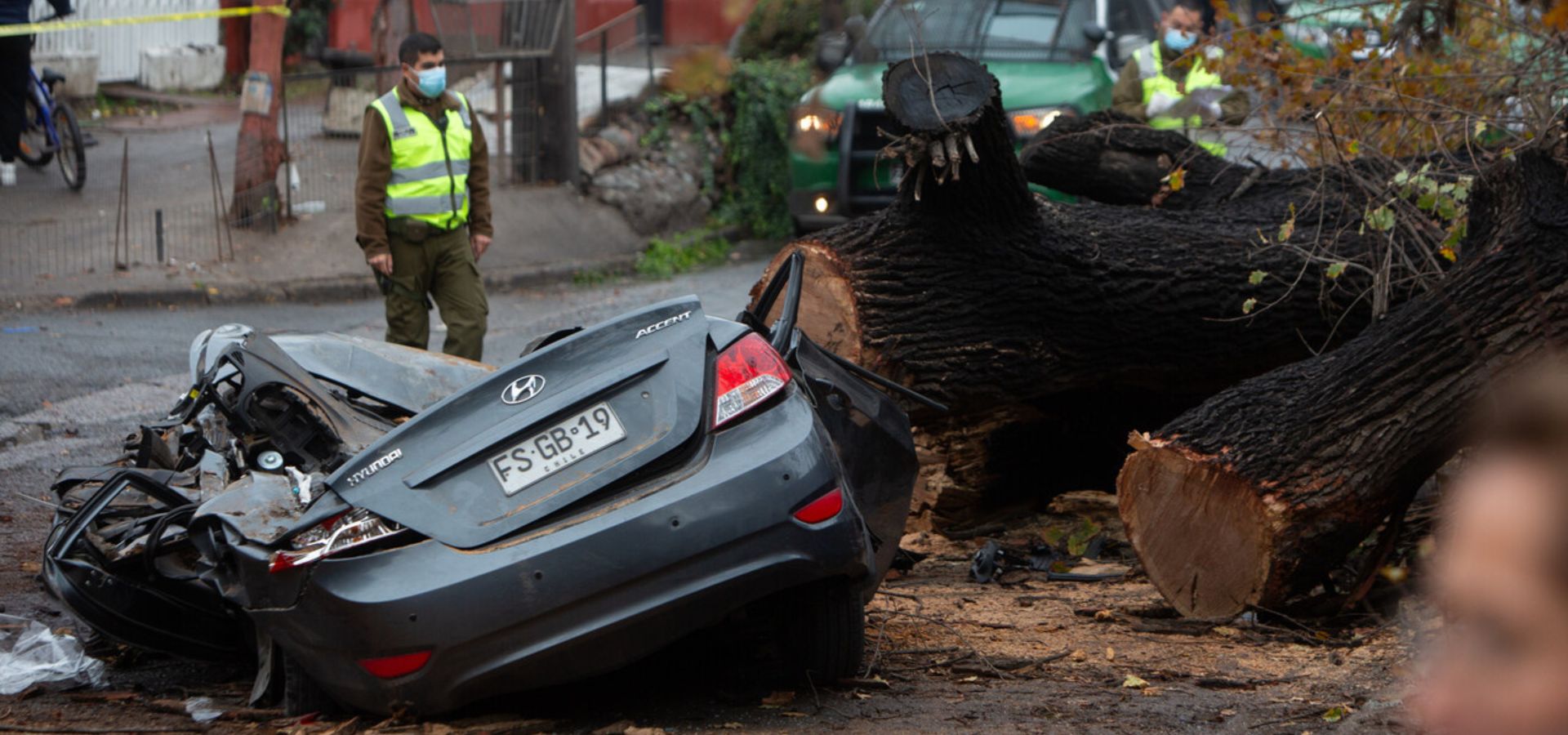 Muere mujer tras caerle un árbol sobre su vehículo: Alcaldía Benito Juárez