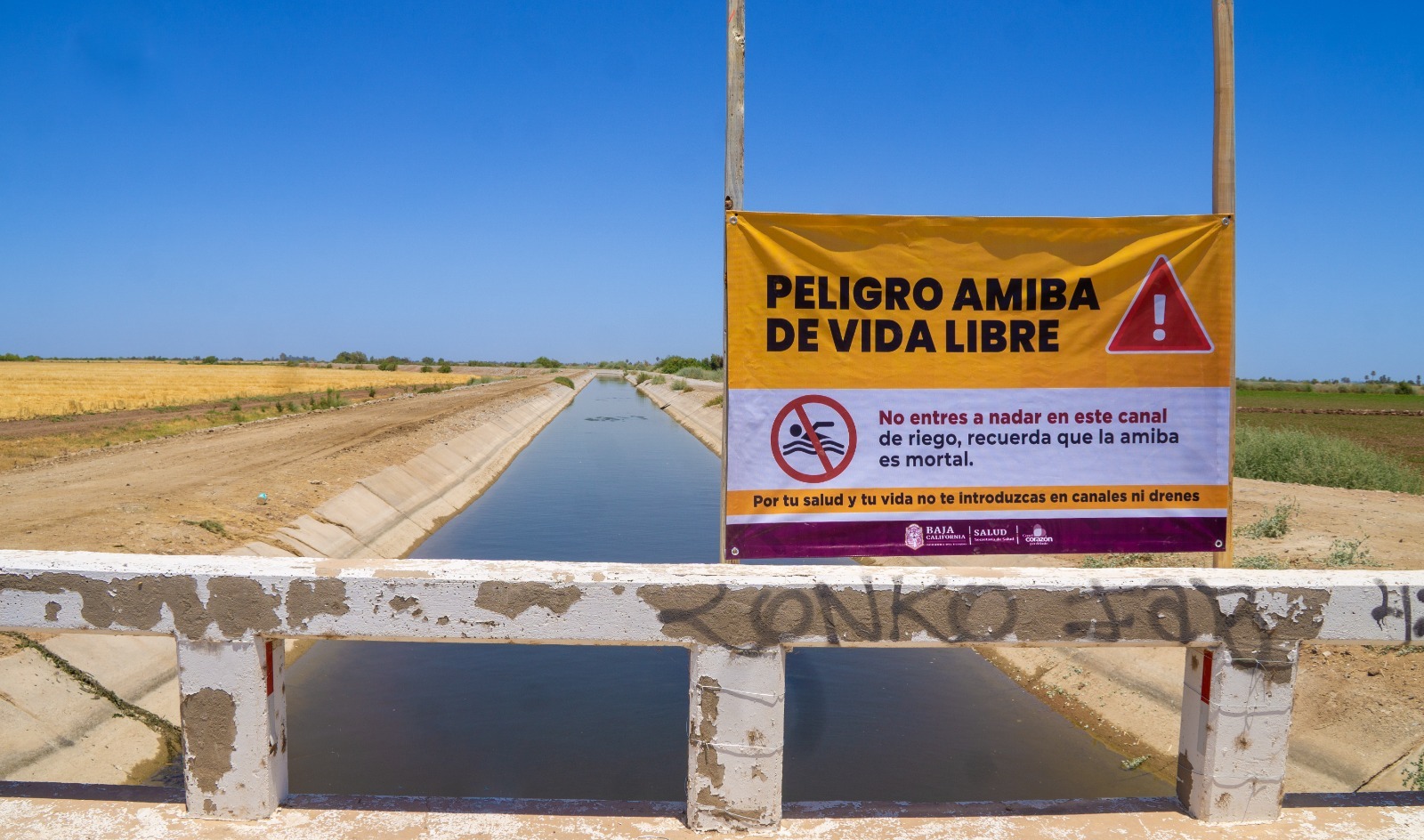 Hacen llamado para evitar nadar en canales por amiba libre